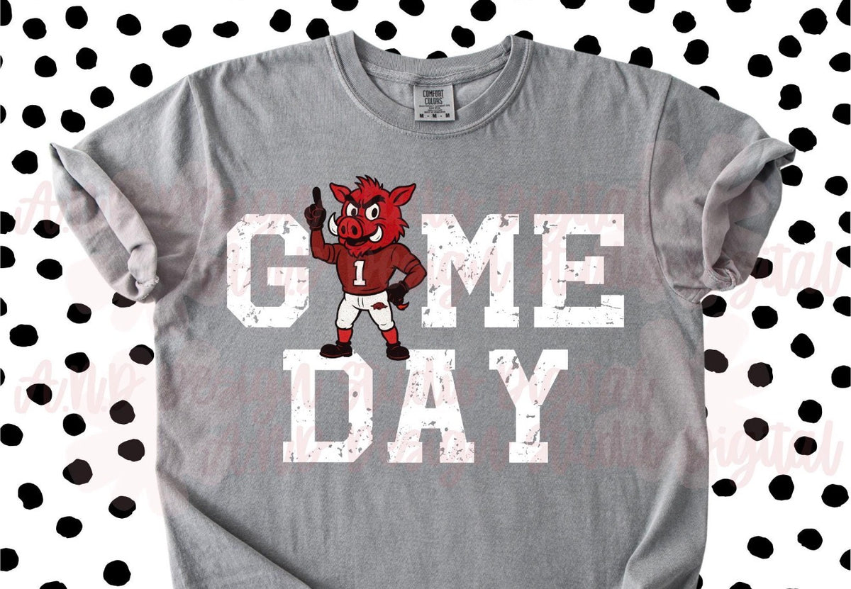 Arkansas GAME DAY